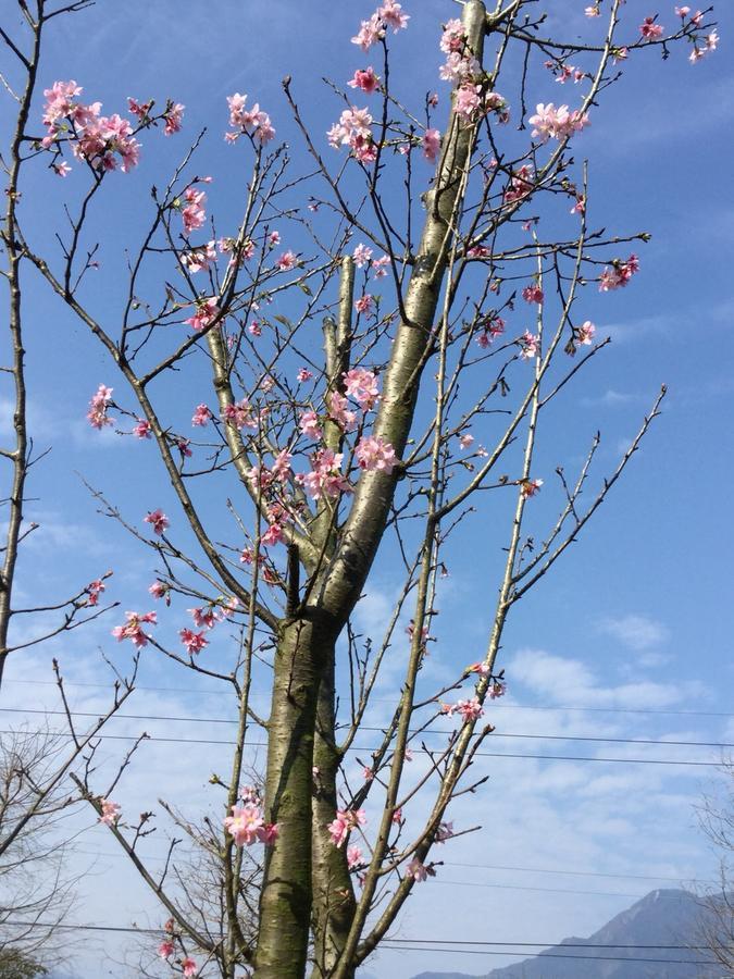 Lei Mi Er Hua Yuan Min Su Lägenhet Pinghe Exteriör bild