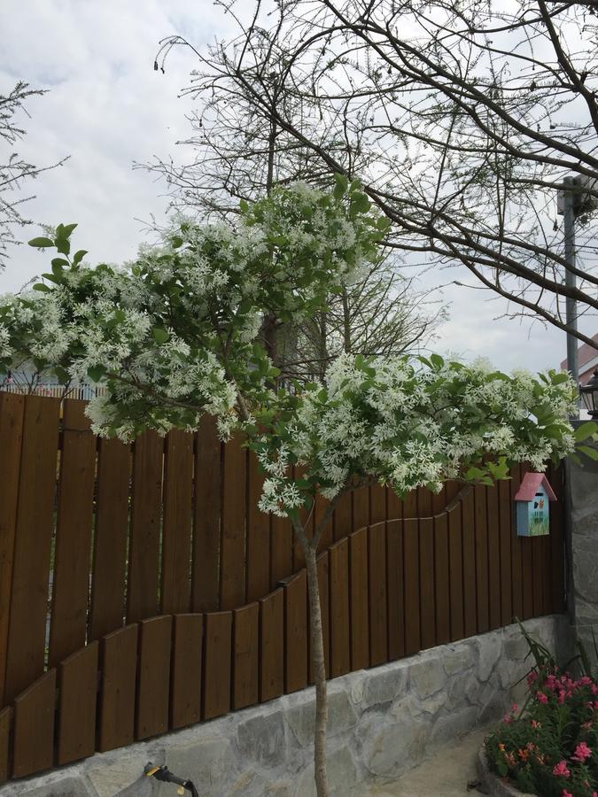Lei Mi Er Hua Yuan Min Su Lägenhet Pinghe Exteriör bild
